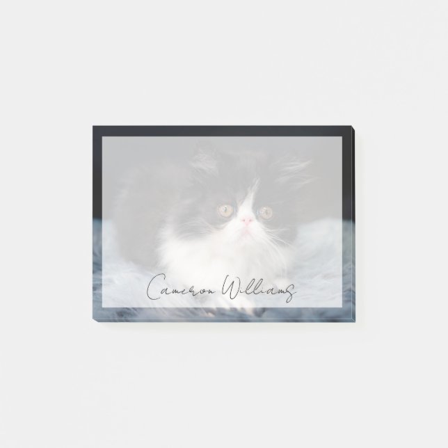 Bloco De Notas Cutest Baby Animals | Fluffy B&W Kitten (Frente)
