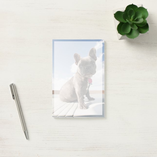Bloco De Notas Cutest Baby Animals | French Bulldog Boating (Escritótio)