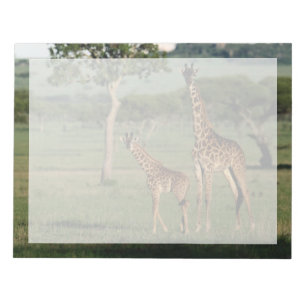 Bloco De Notas Cutest Baby Animals Giraffe Calf & Mama