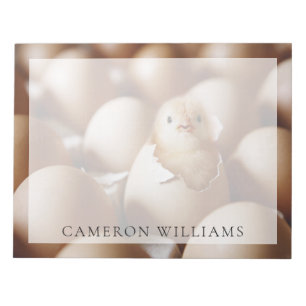 Bloco De Notas Cutest Baby Animals   New Baby Chick
