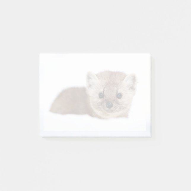 Bloco De Notas Cutest Baby Animals | Pine Marten (Frente)