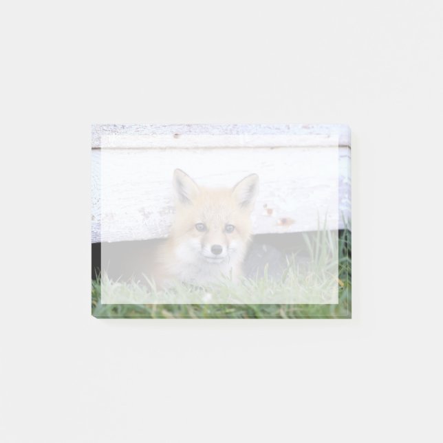 Bloco De Notas Cutest Baby Animals | Red Fox Kit Peeking (Frente)