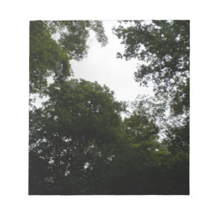 Bloco de Notas da Floresta Cerrante