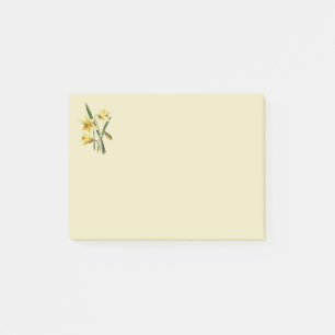Bloco De Notas Daffodil posta anota