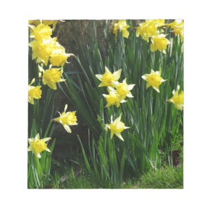 Bloco De Notas Daffodils do primavera