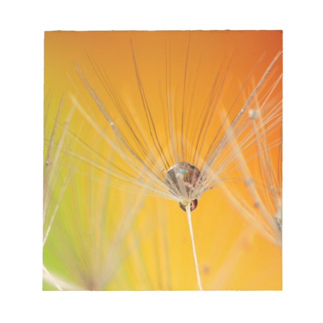 Bloco De Notas Dandelion Blossoms Flores Destino Paz Amor Arte (Frente)