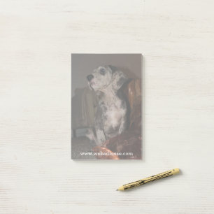 Bloco De Notas Dane Grande Merle