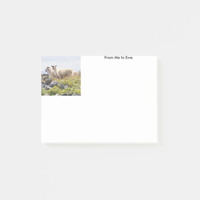 Bloco De Notas De mim para a ovelha (Frente)