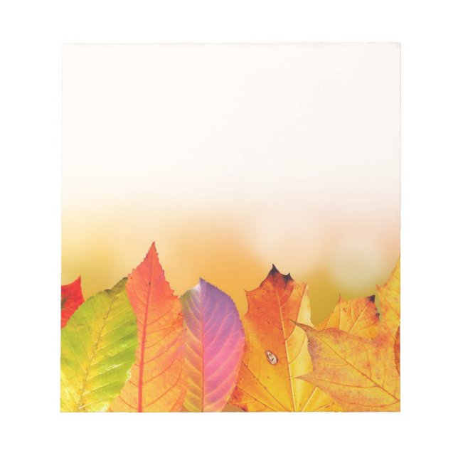 Bloco de Notas de Queda (Frente)