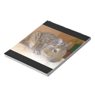 Bloco de notas de relaxamento de Degu