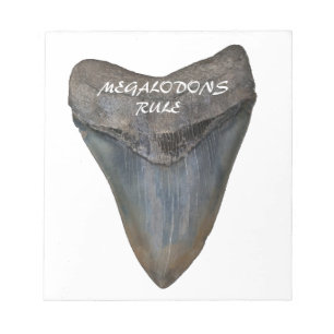 Bloco De Notas Dente de tubarão Megalodon