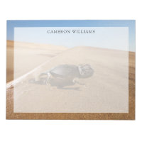 Desertos | Camaleão Namaqua no Deserto