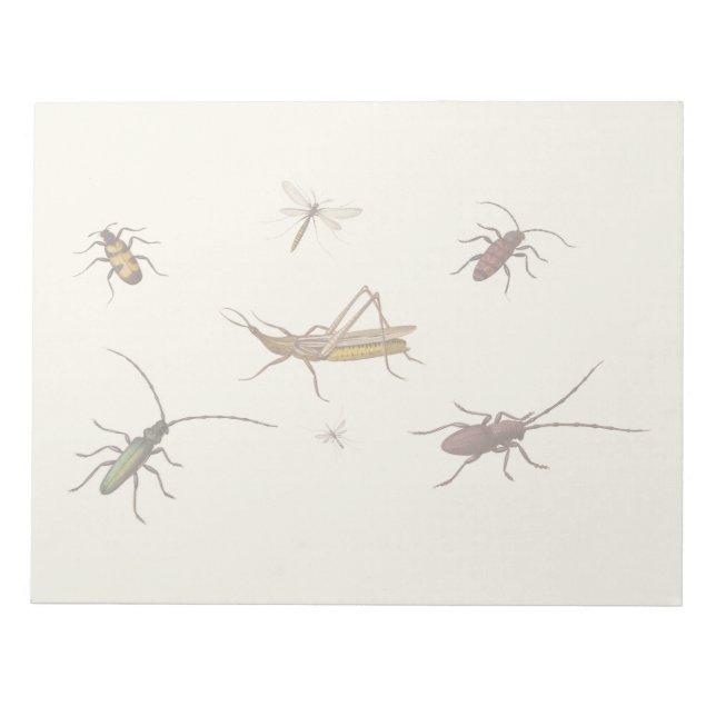 Bloco De Notas Design com sete insetos diferentes (Frente)
