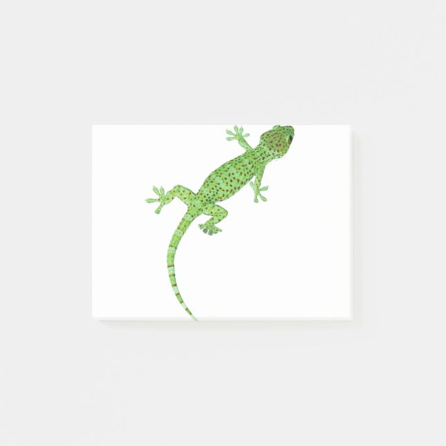 Bloco De Notas design Pet Gecko Lizard (Frente)