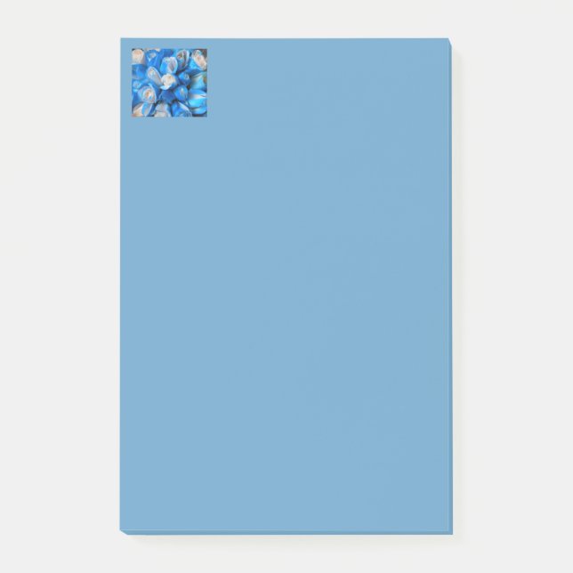 Bloco De Notas Diemudina (Frente)