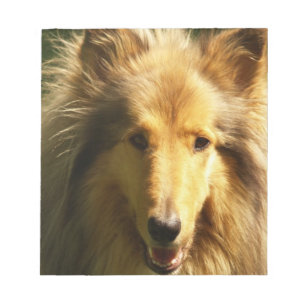Bloco de notas do Collie do Lassie