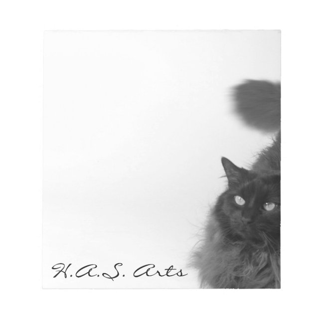 Bloco de notas do gatinho haiku (Frente)