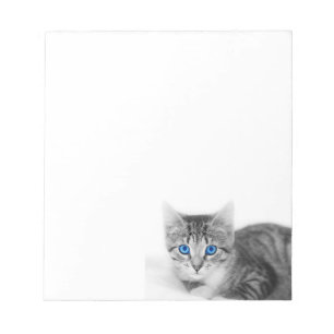 bloco de notas do gato