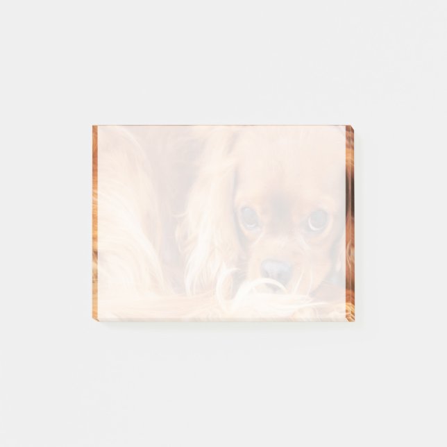 Bloco De Notas Doce Ruby Cavalier King Charles Spaniel (Frente)