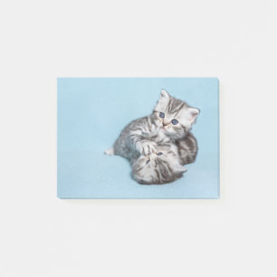 Bloco De Notas Dois gatinhos pretos prateados brincando juntos.JP