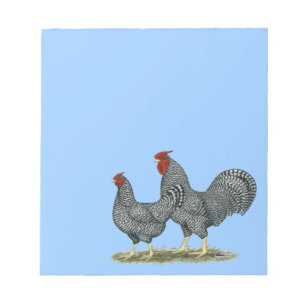 Bloco De Notas Dominique Chickens