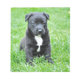 Bloco De Notas Dor Totalmente Adorável