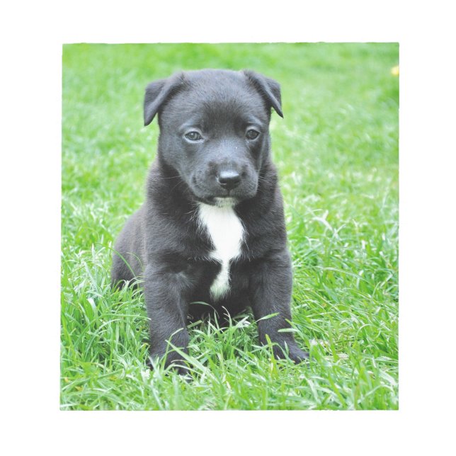 Bloco De Notas Dor Totalmente Adorável (Frente)