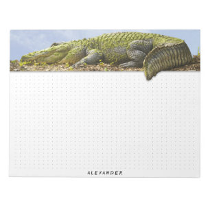 Bloco De Notas Dotado - Natureza Fotografia Enorme Panorâmica Ga
