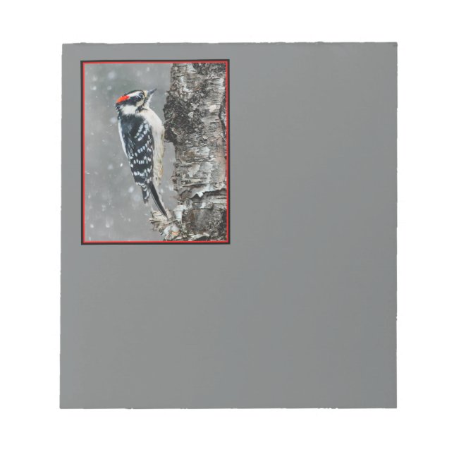 Bloco De Notas Downy Woodpecker em Neve - Foto Original (Frente)