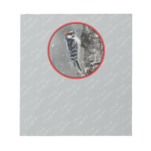 Bloco De Notas Downy Woodpecker em Neve - Foto Original