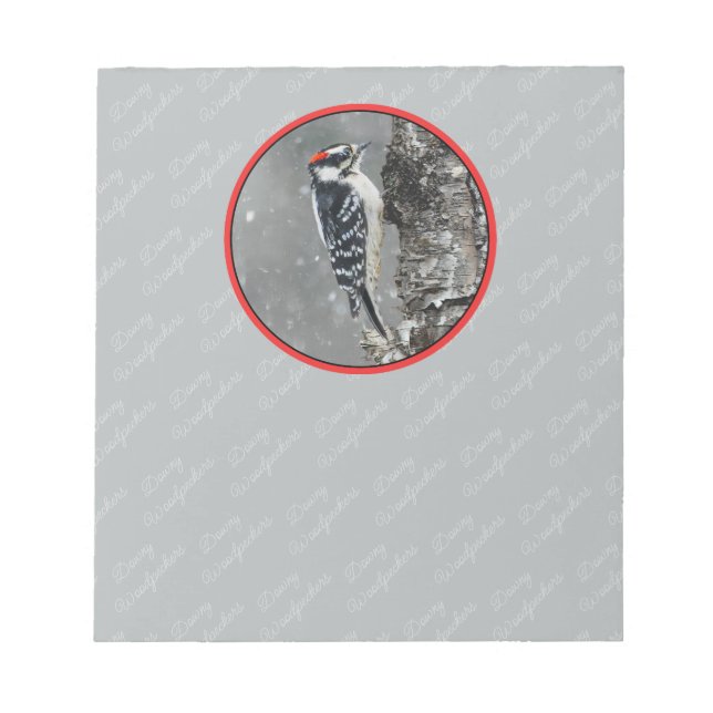 Bloco De Notas Downy Woodpecker em Neve - Foto Original (Frente)