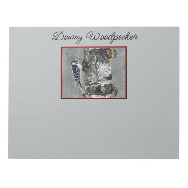 Bloco De Notas Downy Woodpecker em Neve - Foto Original (Frente)