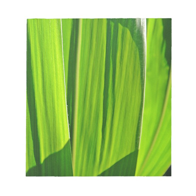 Bloco De Notas Drei grüne Maisblätter (Frente)