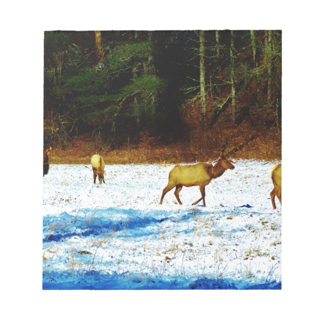 BLOCO DE NOTAS DSC00131.JPG (Frente)