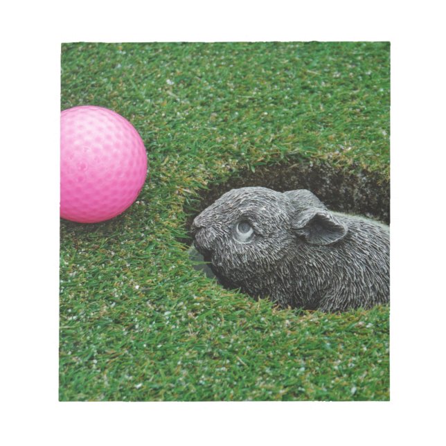 BLOCO DE NOTAS DSCF0652.JPG (Frente)