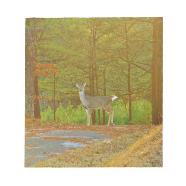 BLOCO DE NOTAS DSCF4041.JPG (Frente)