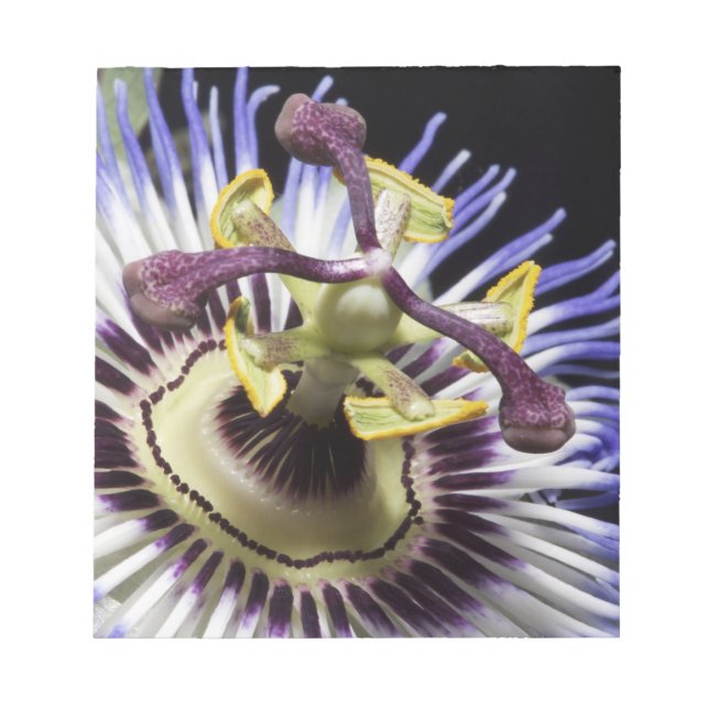 Bloco De Notas Encerramento de passionflower (MR) (Frente)