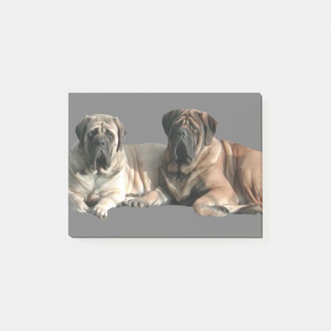 Bloco De Notas English Mastiff Freunde (Frente)