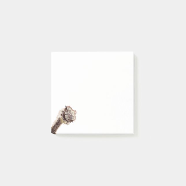 Bloco De Notas Engraçado Posto que ele nota com feliz avestruz (Frente)