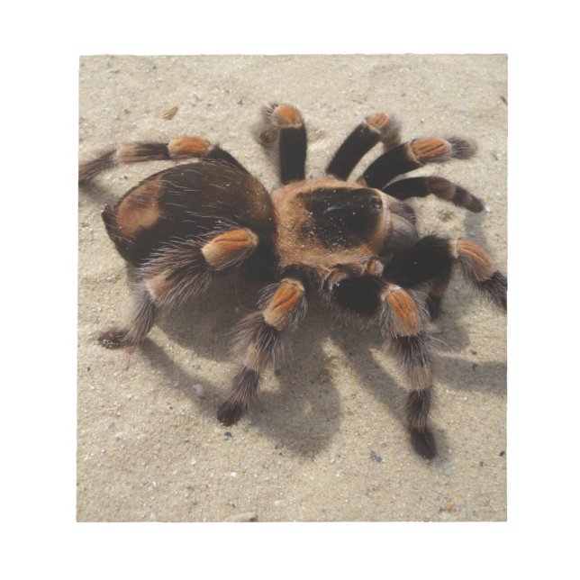 Bloco De Notas Envenenamento tarantula brachypelma vermelho-joelh (Frente)