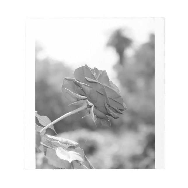 Bloco De Notas Escolhi-me Rosa (Frente)