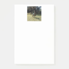 Bloco De Notas "Esperando pelo veículo cigano"