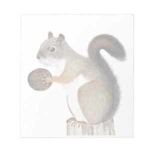 Bloco De Notas Esquilo