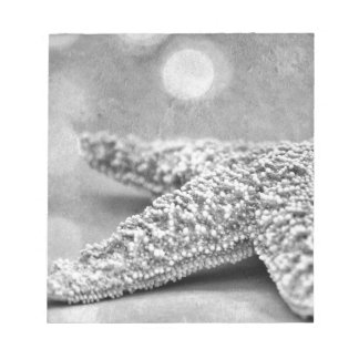 Bloco De Notas Estrela do Mar