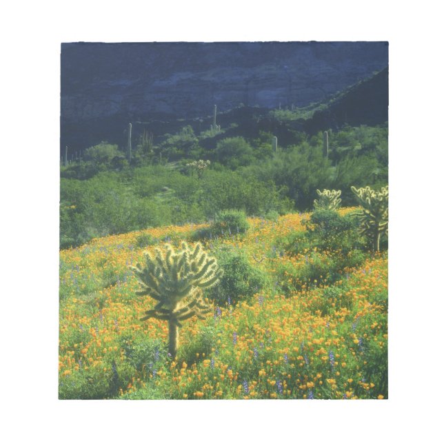 Bloco De Notas EUA, Arizona, Parque Nacional Organ Pipe Cactus (Frente)