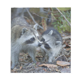 Bloco De Notas EUA, Flórida, Sanibel, Ding Querido Nacional