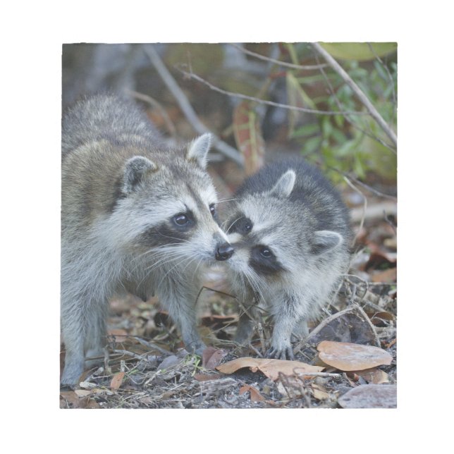 Bloco De Notas EUA, Flórida, Sanibel, Ding Querido Nacional (Frente)