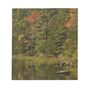 Bloco De Notas EUA; Maine; Acadia NP. Reflexos de outono às 2