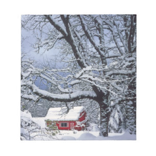 Bloco De Notas EUA, Oregon, Condado de Clackamas. Neve fresca cob