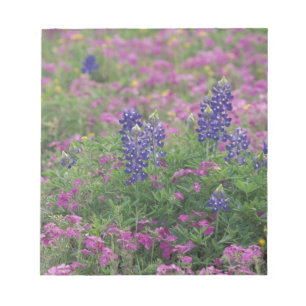 Bloco De Notas EUA, Texas Hill Country. Bluebonnets entre phlox